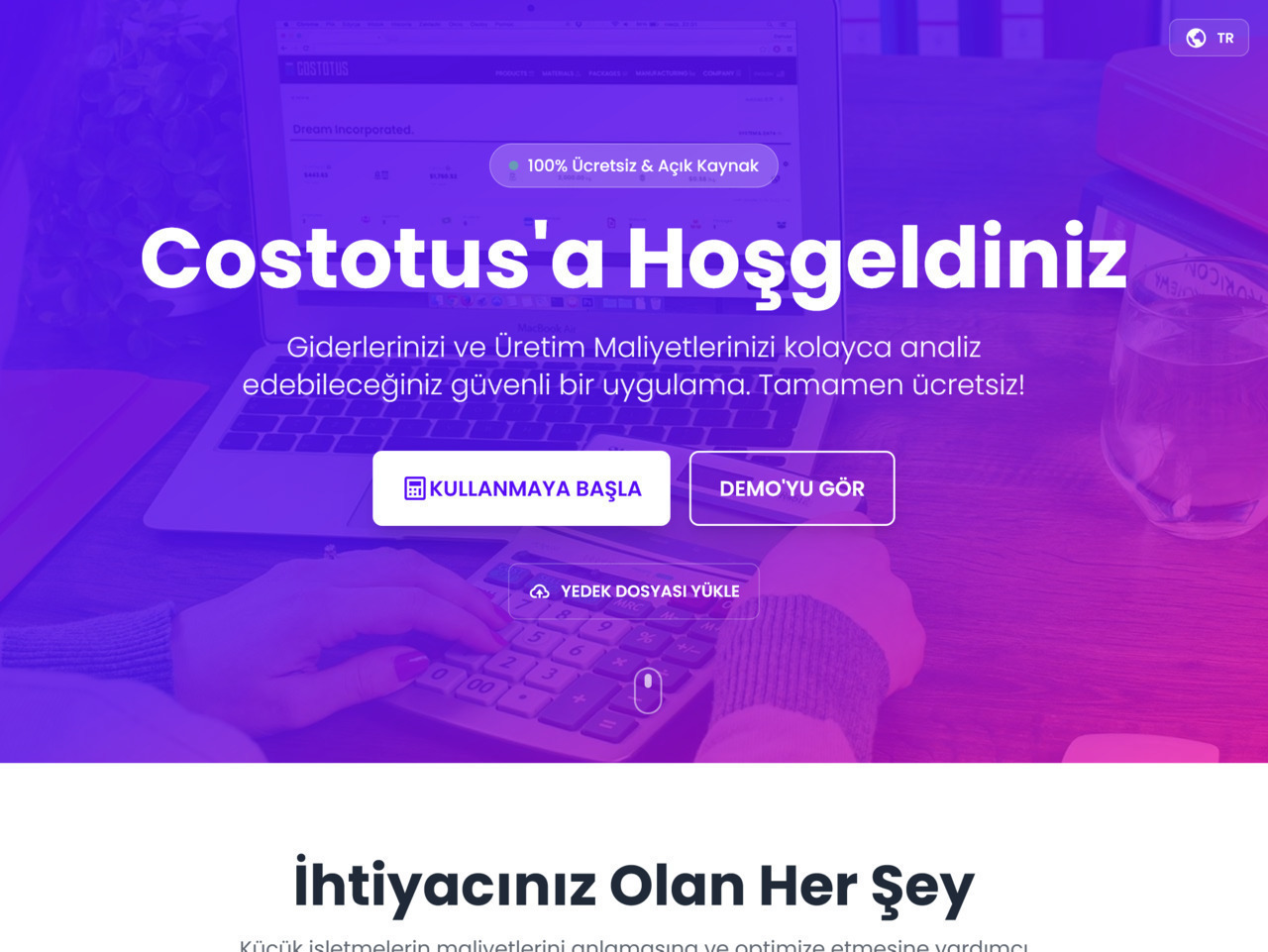 Image 1 of project costotus