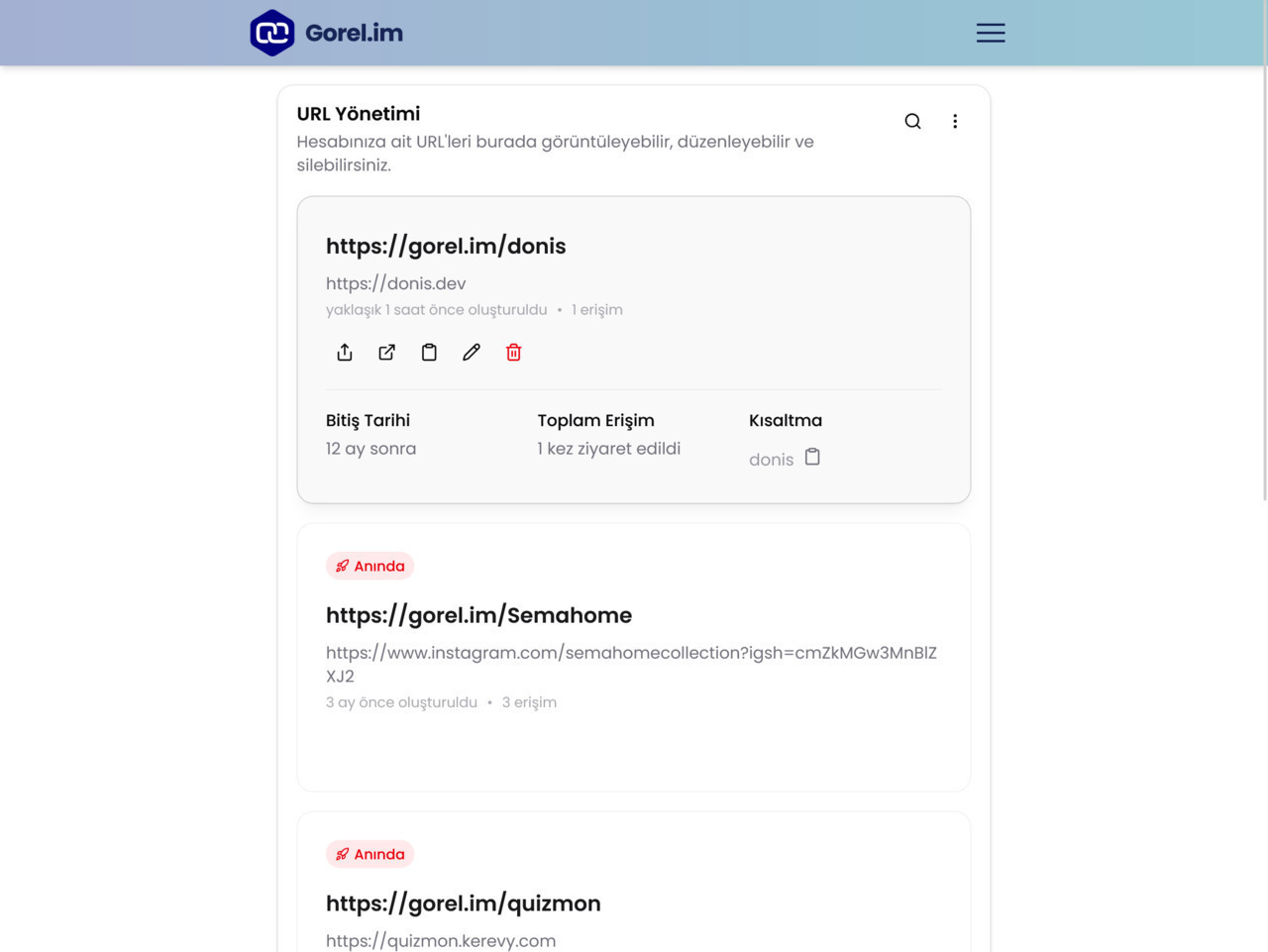 Image 8 of project gorelim