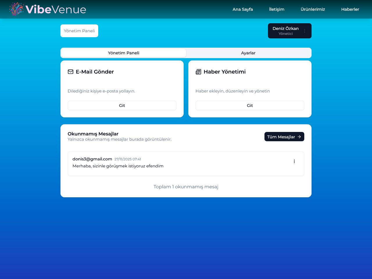 Image 1 of project vibevenue