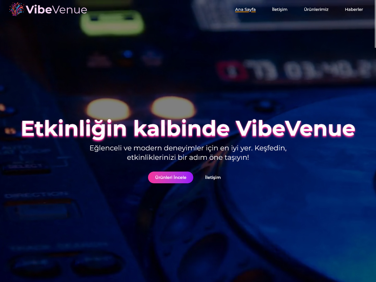 Image 4 of project vibevenue